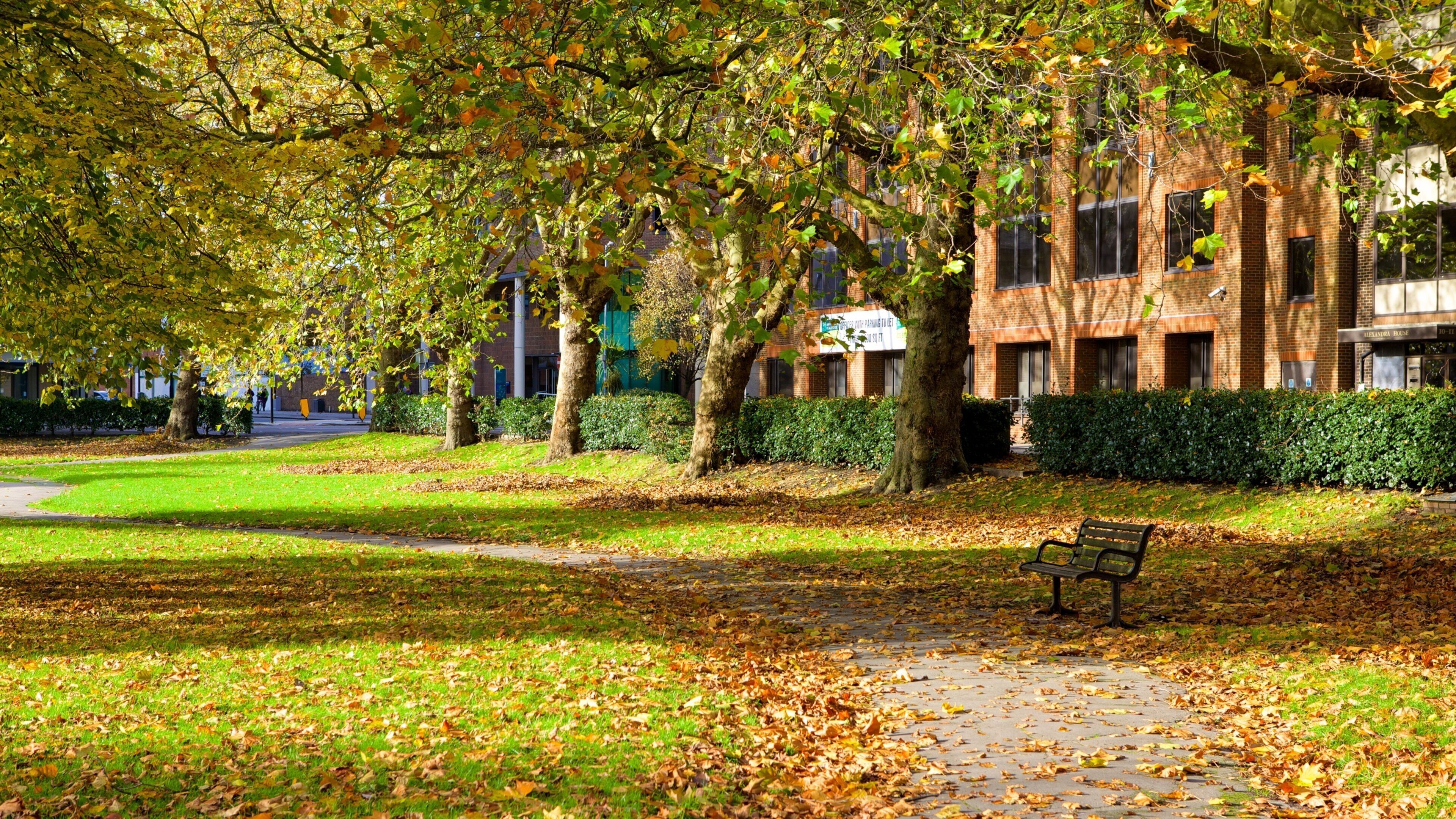 Queen\'s Park showing autumn colours and a park
