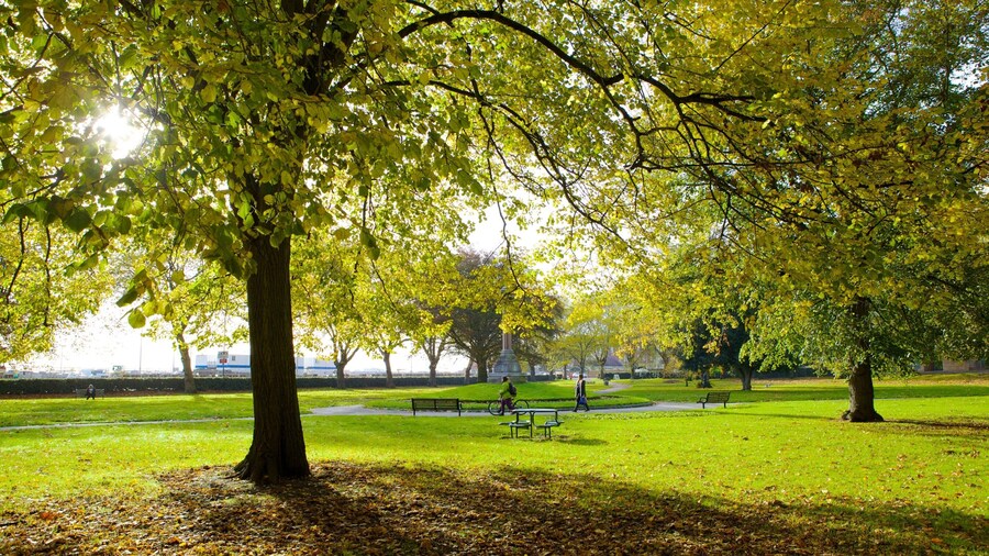 Queen\'s Park featuring a park