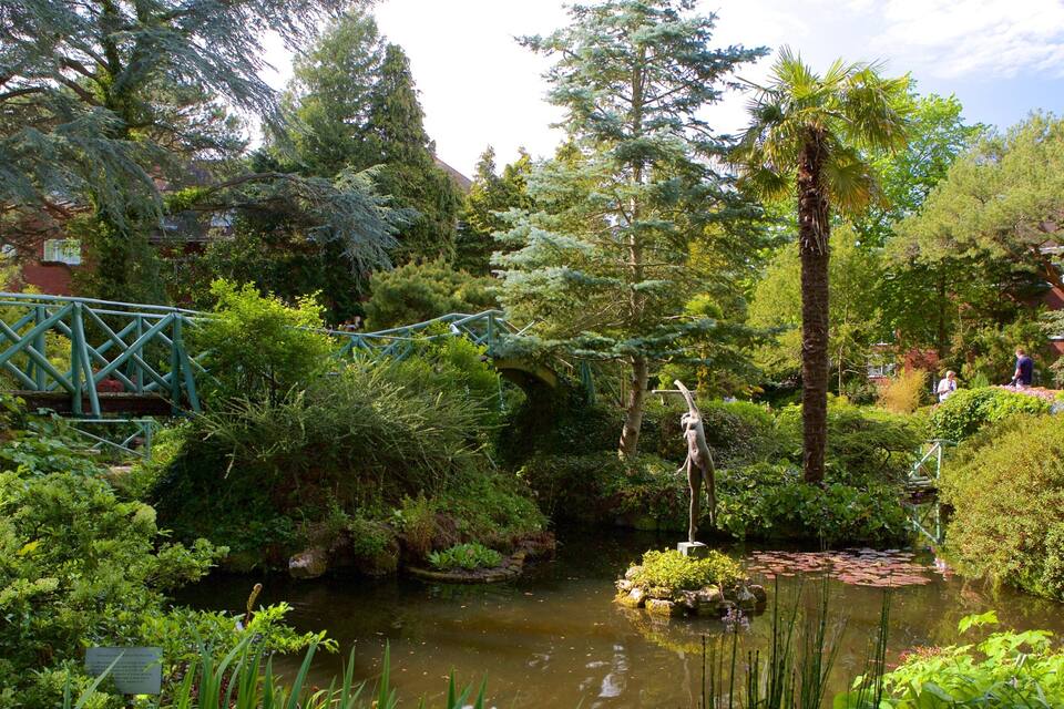 A lush garden with a small pond, a bridge, and various trees.
