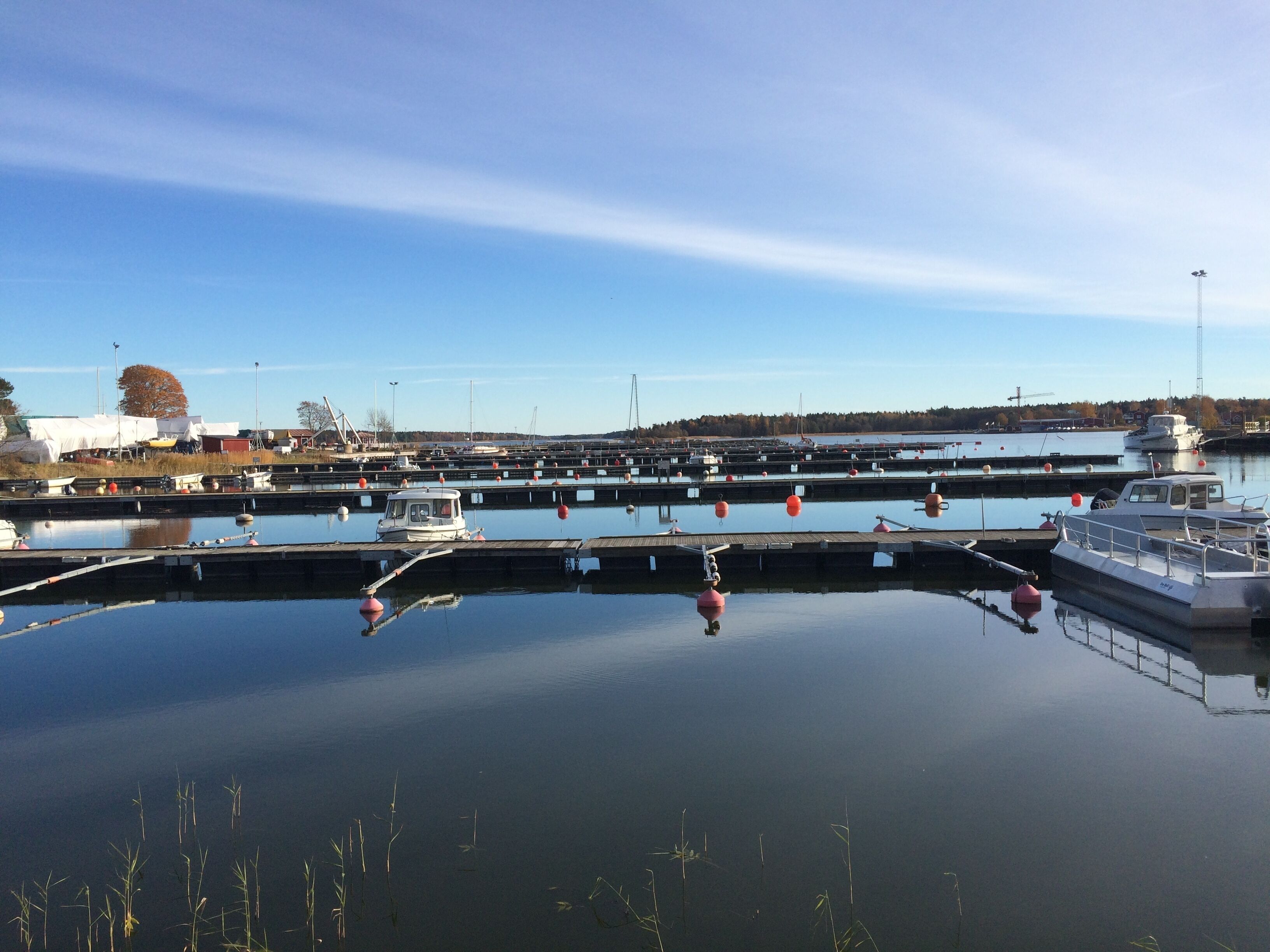 A marina with multiple docks and boats, calm water, and a clear sky.