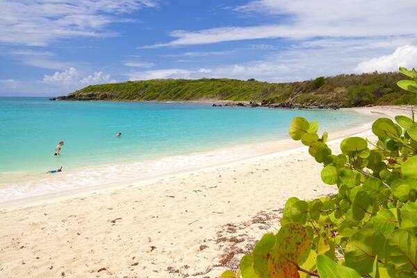 A beach with clear turquoise water, sandy shore, and green vegetation.