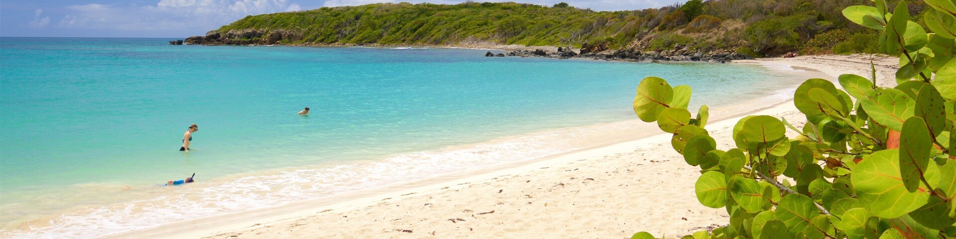 Una playa con aguas turquesas cristalinas, una orilla arenosa y vegetación verde.