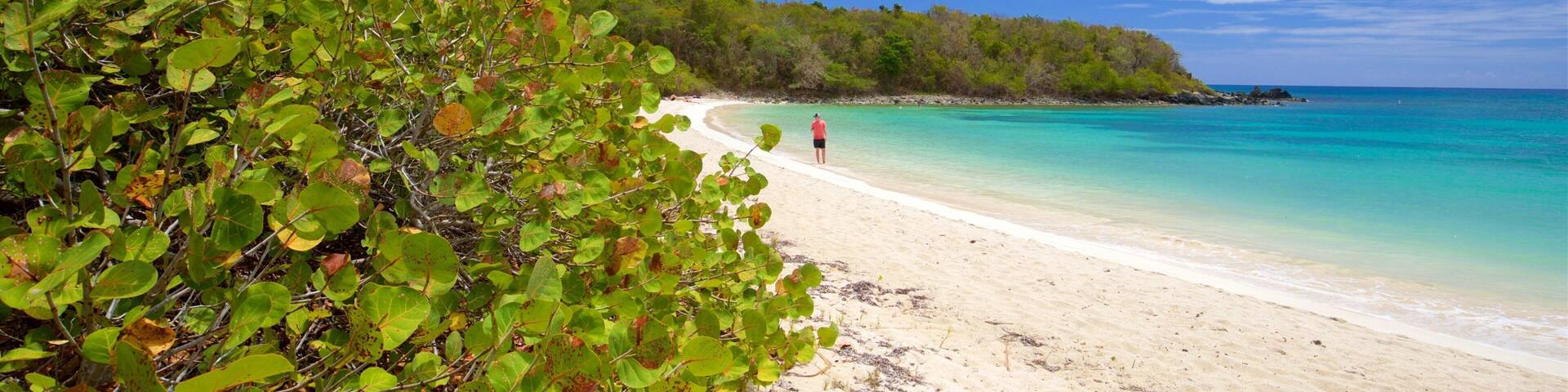 A beach with clear turquoise water, a sandy shore, and dense green foliage.