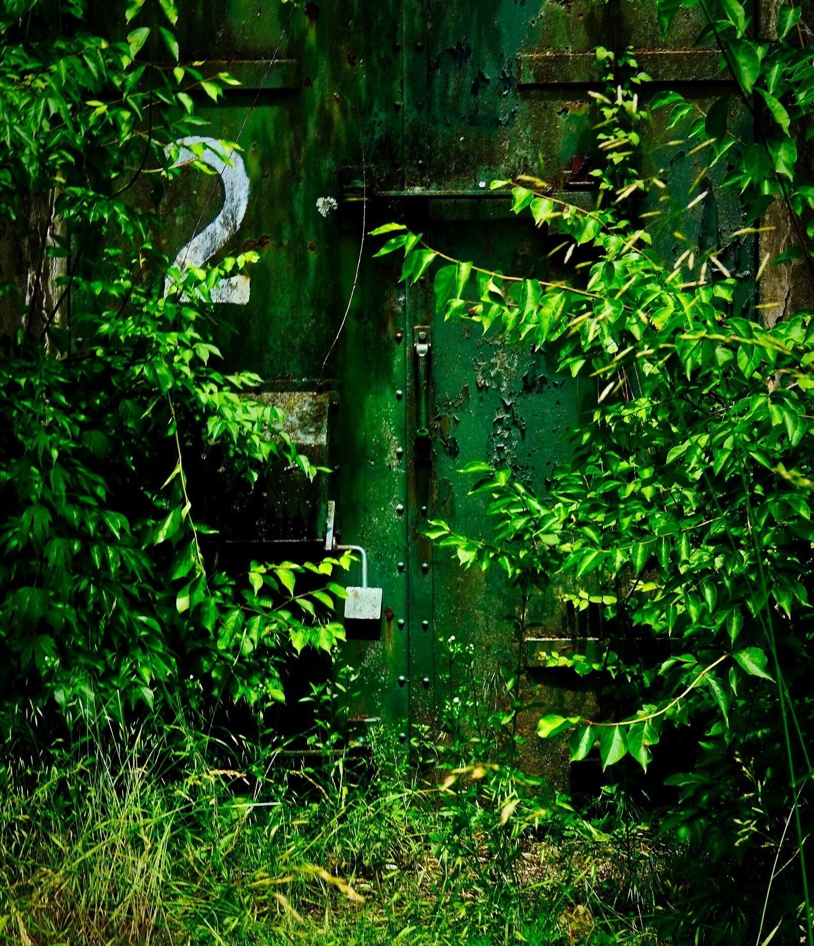 Visited the Alvira Bunkers this afternoon. They were part of a huge munitions plant in central Pennsylvania during WWII. Now they are part of State Game Lands area 252. There are lots of walking trails around the 155 abandoned bunkers.