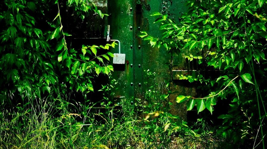 Visited the Alvira Bunkers this afternoon. They were part of a huge munitions plant in central Pennsylvania during WWII. Now they are part of State Game Lands area 252. There are lots of walking trails around the 155 abandoned bunkers.
