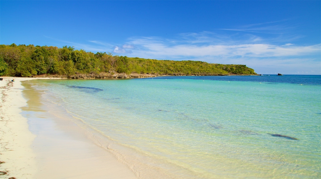 Bãi biển Media Luna