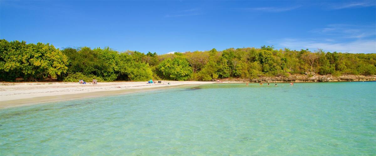 ๋ฉ๋์ ๋ฃจ๋ ๋น์น