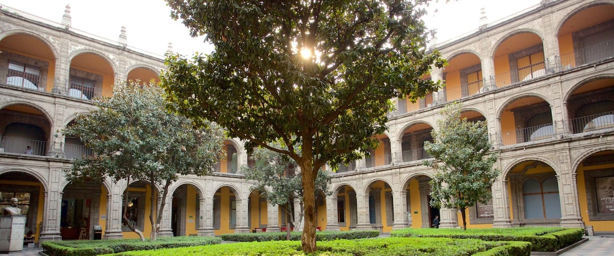 CollĂšge San Ildefonso montrant square ou place, jardin et patrimoine architectural