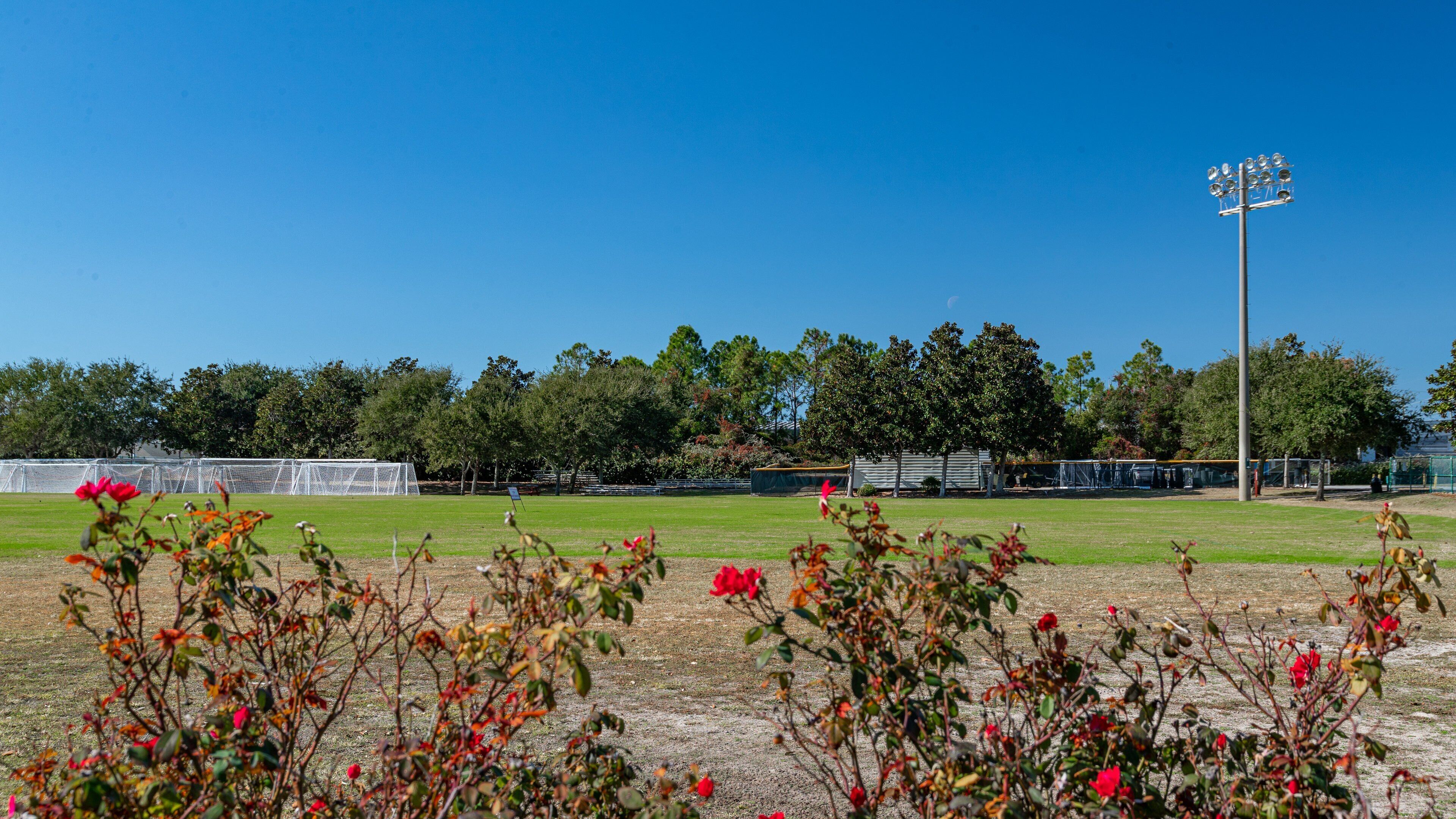 Morgan Sports Center which includes a sporting event, wildflowers and a park