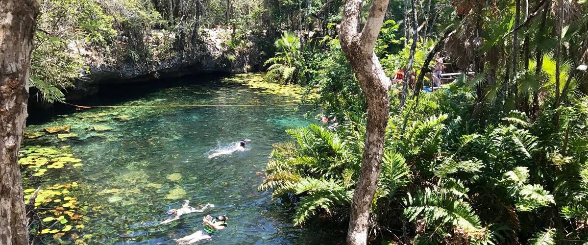 Beautiful experience snorkeling through this cenote.