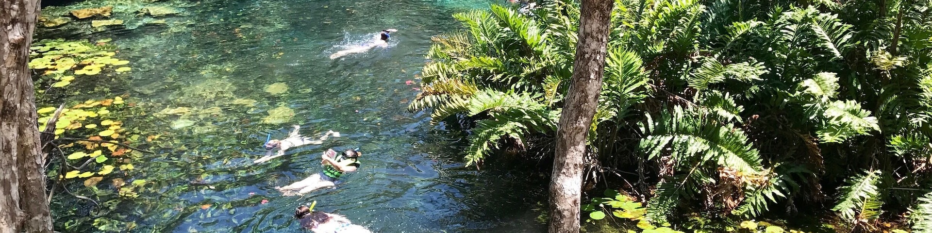 Beautiful experience snorkeling through this cenote.