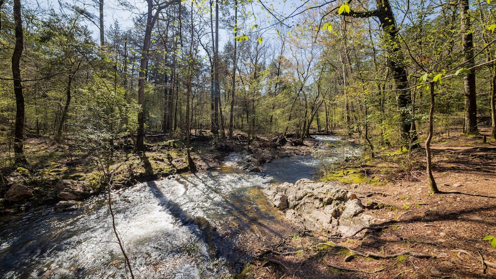 Sunny view of the Lookout Mountain Trail landscape of Beavers Bend State Park