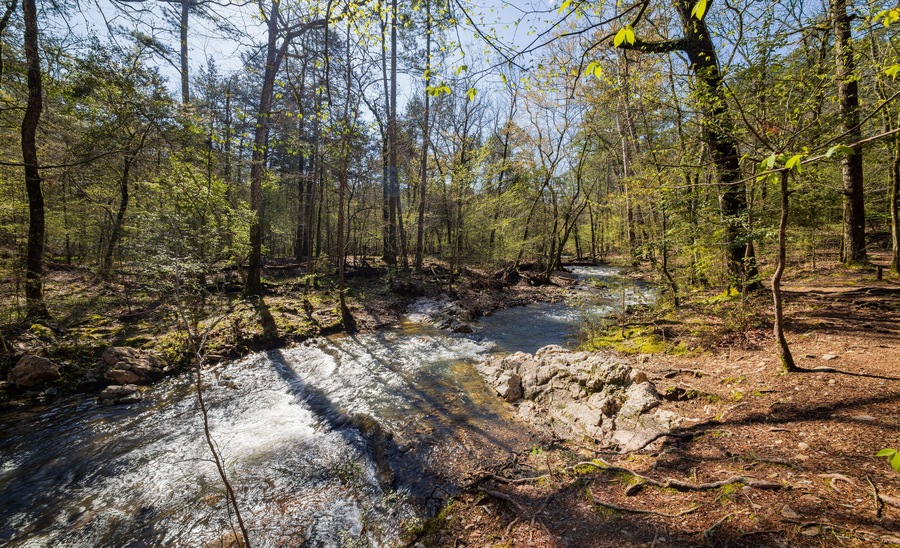 Sunny view of the Lookout Mountain Trail landscape of Beavers Bend State Park