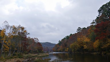 Panoramic view of colorful leaves of the trees along the Mountain Fork River at the Beavers Bend State Park in Broken Bow, Oklahoma