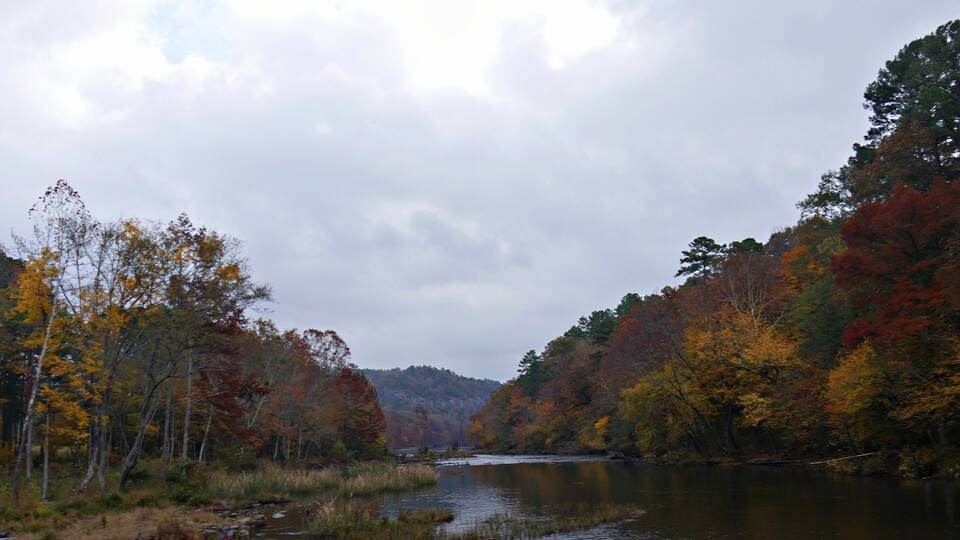 A river surrounded by autumn-colored trees and a cloudy sky.