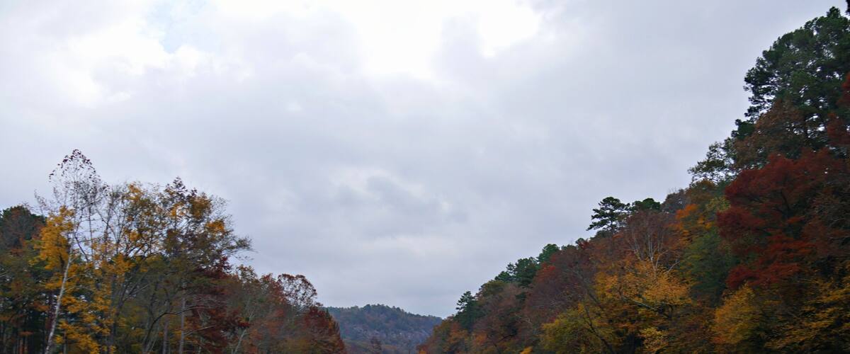 A river surrounded by autumn-colored trees and a cloudy sky.