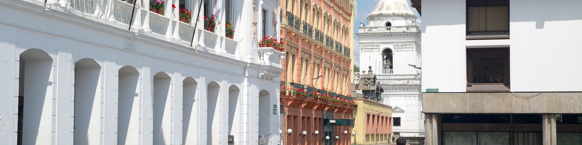 Carondelet Palace featuring street scenes as well as a large group of people
