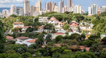 Sao Paulo, Brazil - December 20, 2016. View of Perdizes neighbourhood, A wealthy and wooded area in the city.
