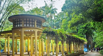 SaoPaulo_BarraFunda_6263875_29