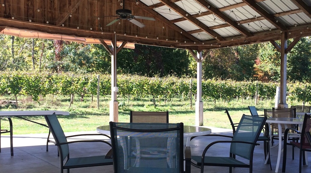 Outdoor spot to relax after the wine tasting. And where they host concerts in the summer