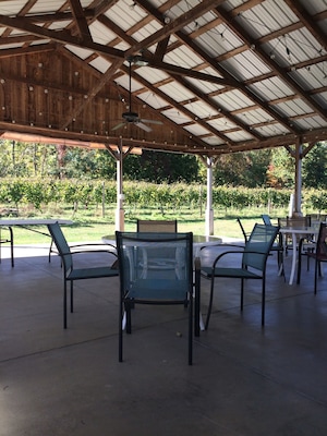 Outdoor spot to relax after the wine tasting. And where they host concerts in the summer