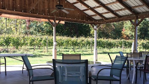 Outdoor spot to relax after the wine tasting. And where they host concerts in the summer