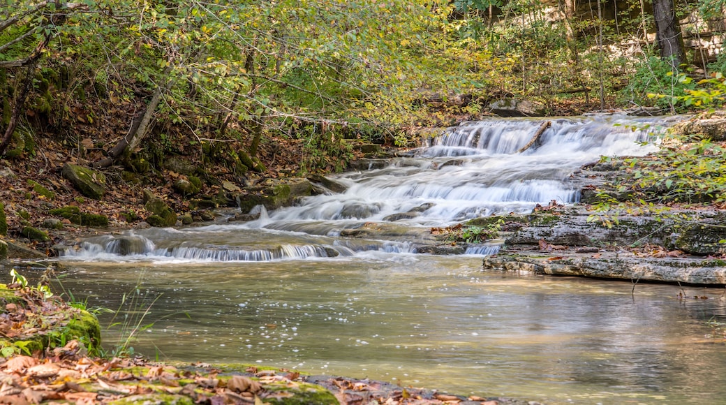A cascading waterfall in Kentucky.