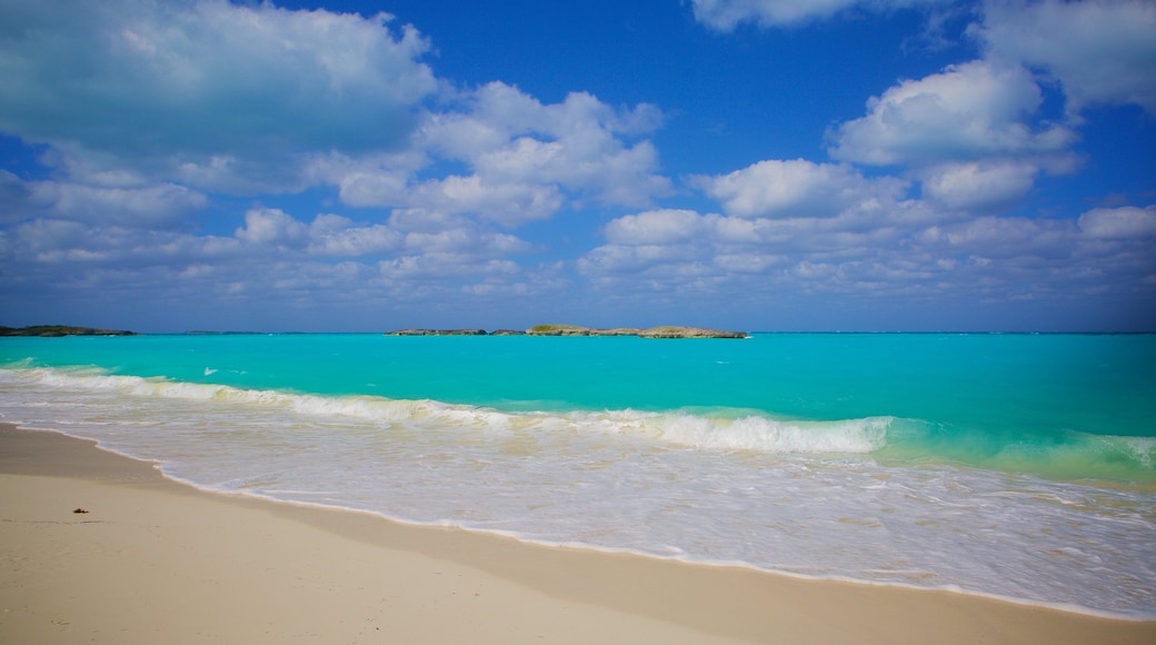 Krepsens vendekrets-stranden som inkluderer strand