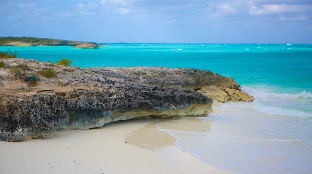 Playa del Trópico de Cáncer que incluye una playa de arena