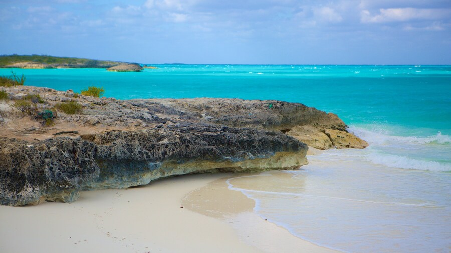 Playa del Trópico de Cáncer que incluye una playa de arena