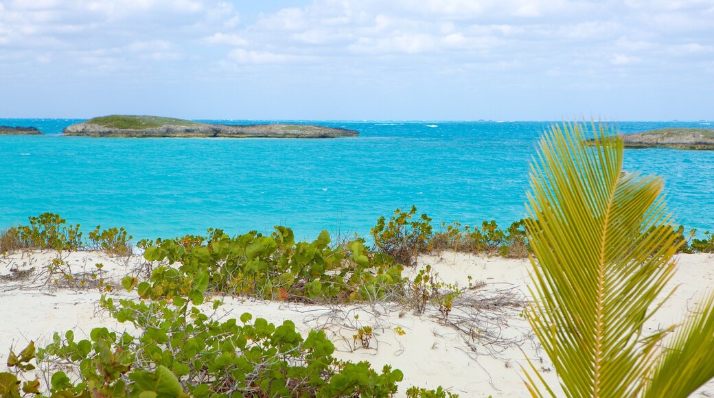 Playa del Trópico de Cáncer mostrando una playa de arena