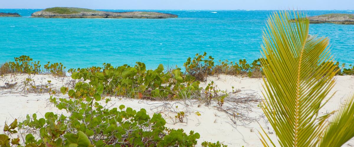 Playa del Trópico de Cáncer mostrando una playa de arena