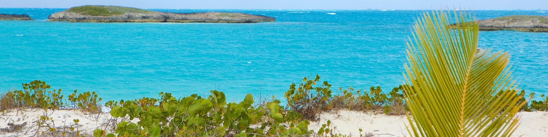 Plage du Tropique du Cancer qui includes plage