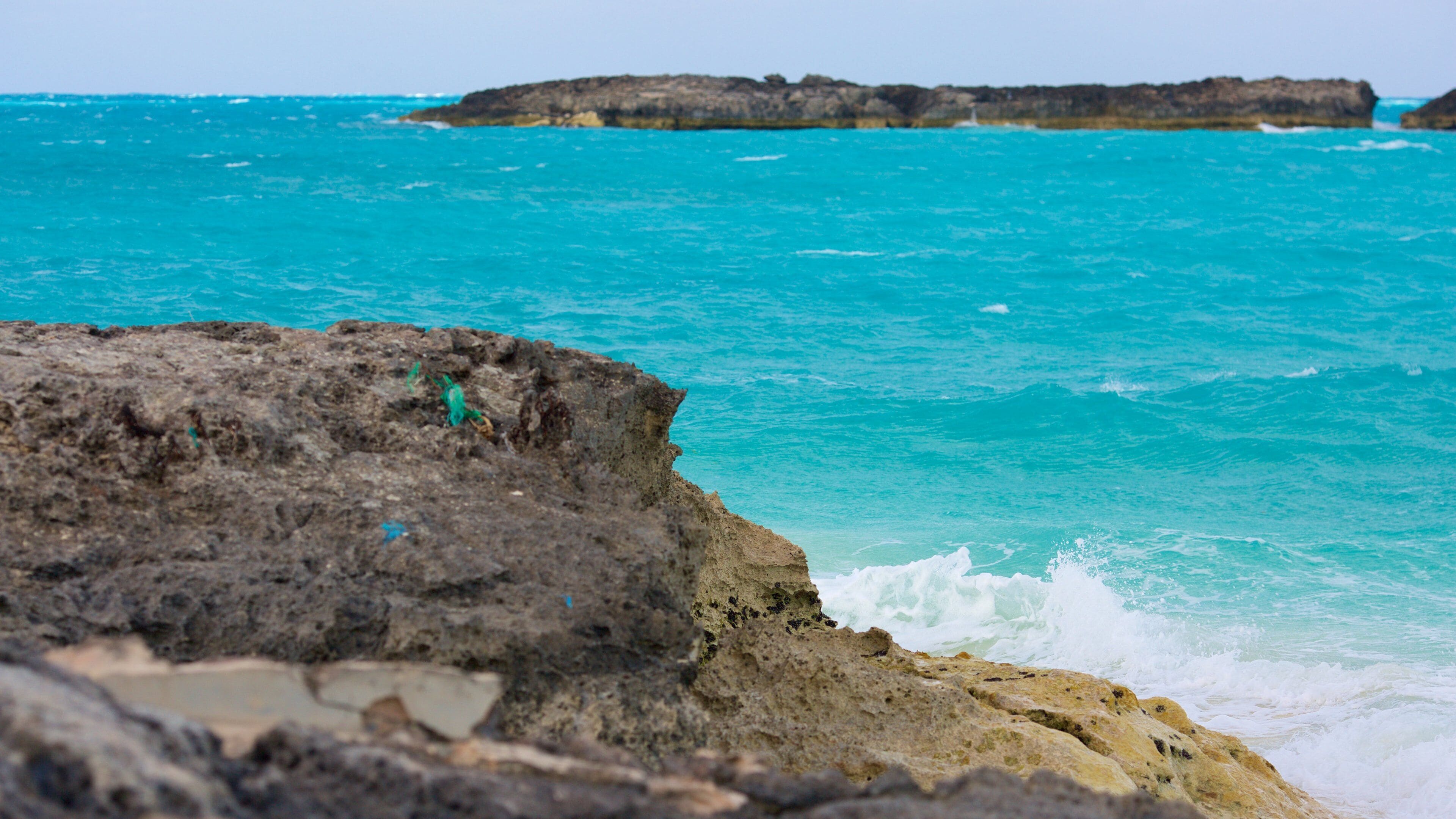 Playa del Trópico de Cáncer ofreciendo vistas de una costa