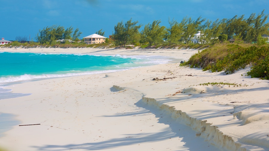A white sandy beach with turquoise water, a few footprints, and some vegetation.