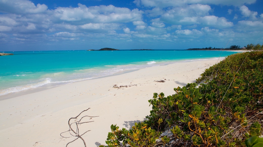 Tropic of Cancer Beach featuring a beach
