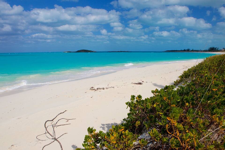 A beach with clear turquoise waters, white sand, and green vegetation.