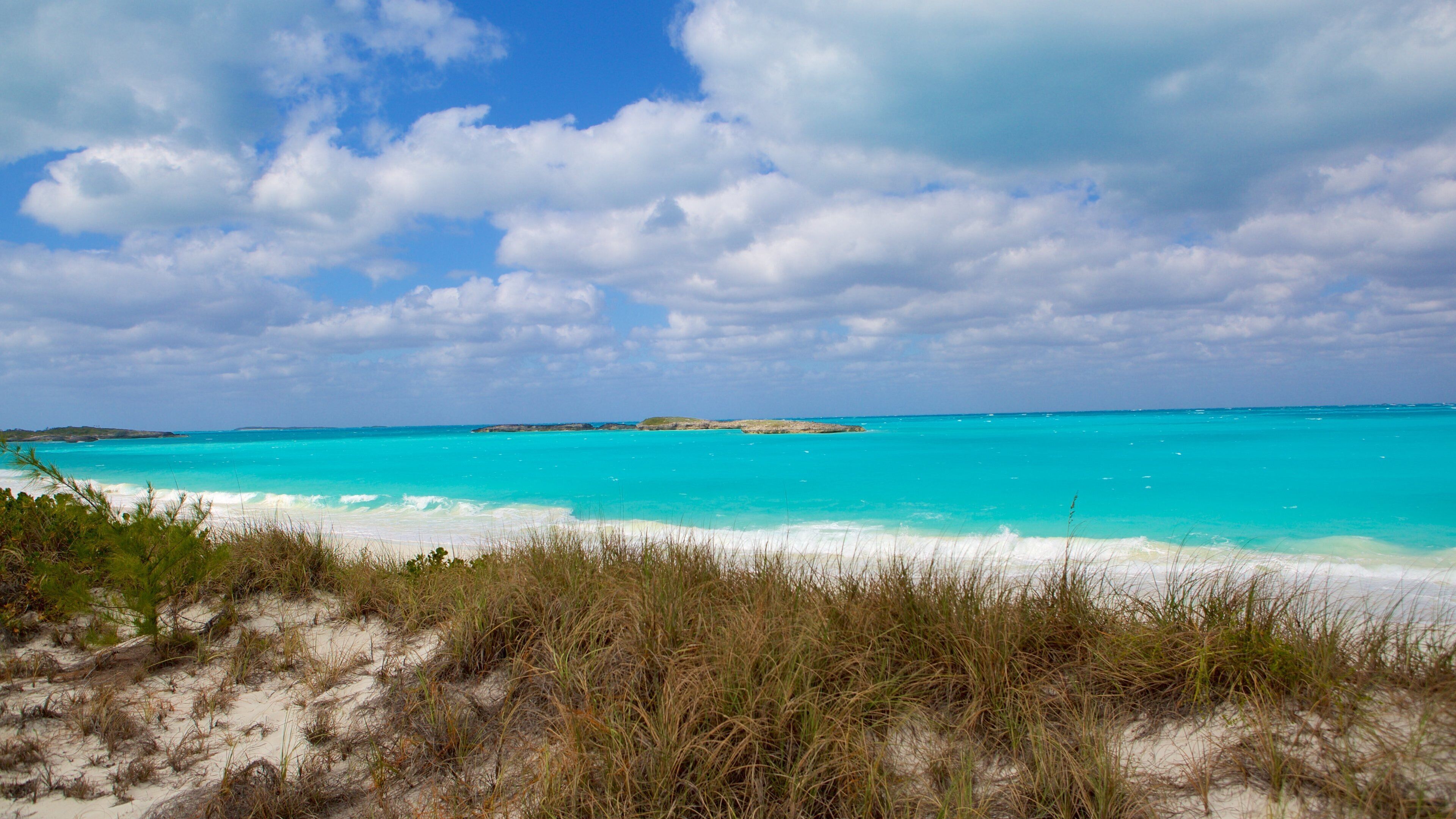 Playa del Trópico de Cáncer que incluye una playa