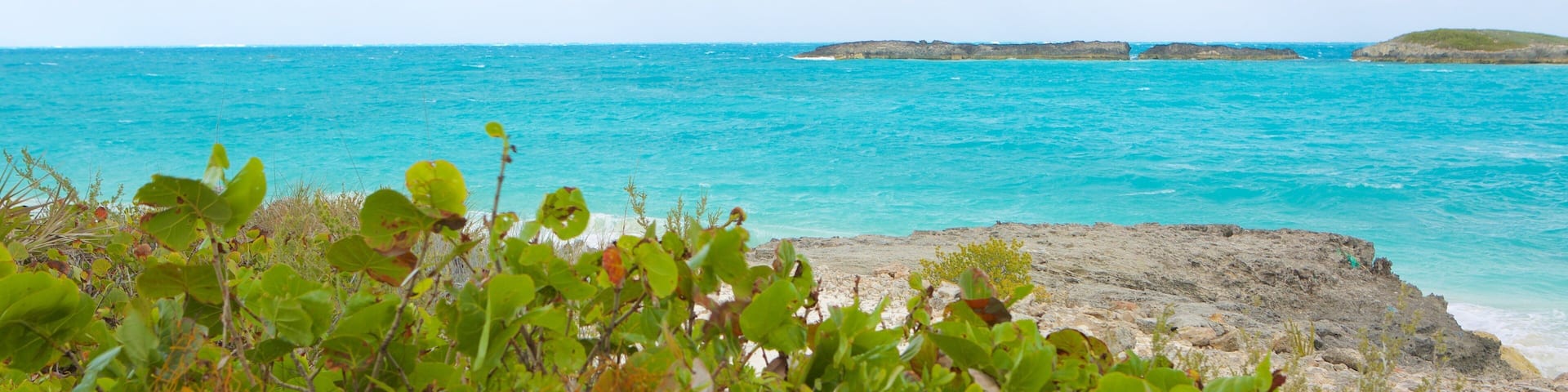 Tropic of Cancer Beach featuring general coastal views