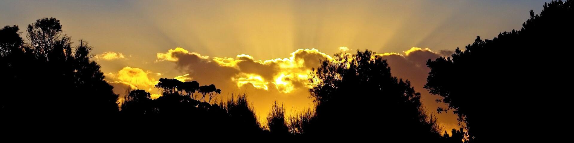 Winchelsea, a little town in rural Victoria nestled on the banks of the Barwon River. A fantastic place to stop and rest when on your way to the 12 Apostles or the Great Ocean Road.
#Golden light on sunset as viewed from along the Barwon River.