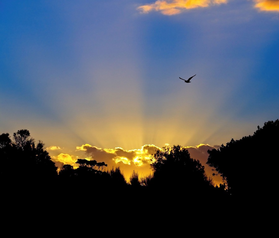 Winchelsea, a little town in rural Victoria nestled on the banks of the Barwon River. A fantastic place to stop and rest when on your way to the 12 Apostles or the Great Ocean Road.
#Golden light on sunset as viewed from along the Barwon River.