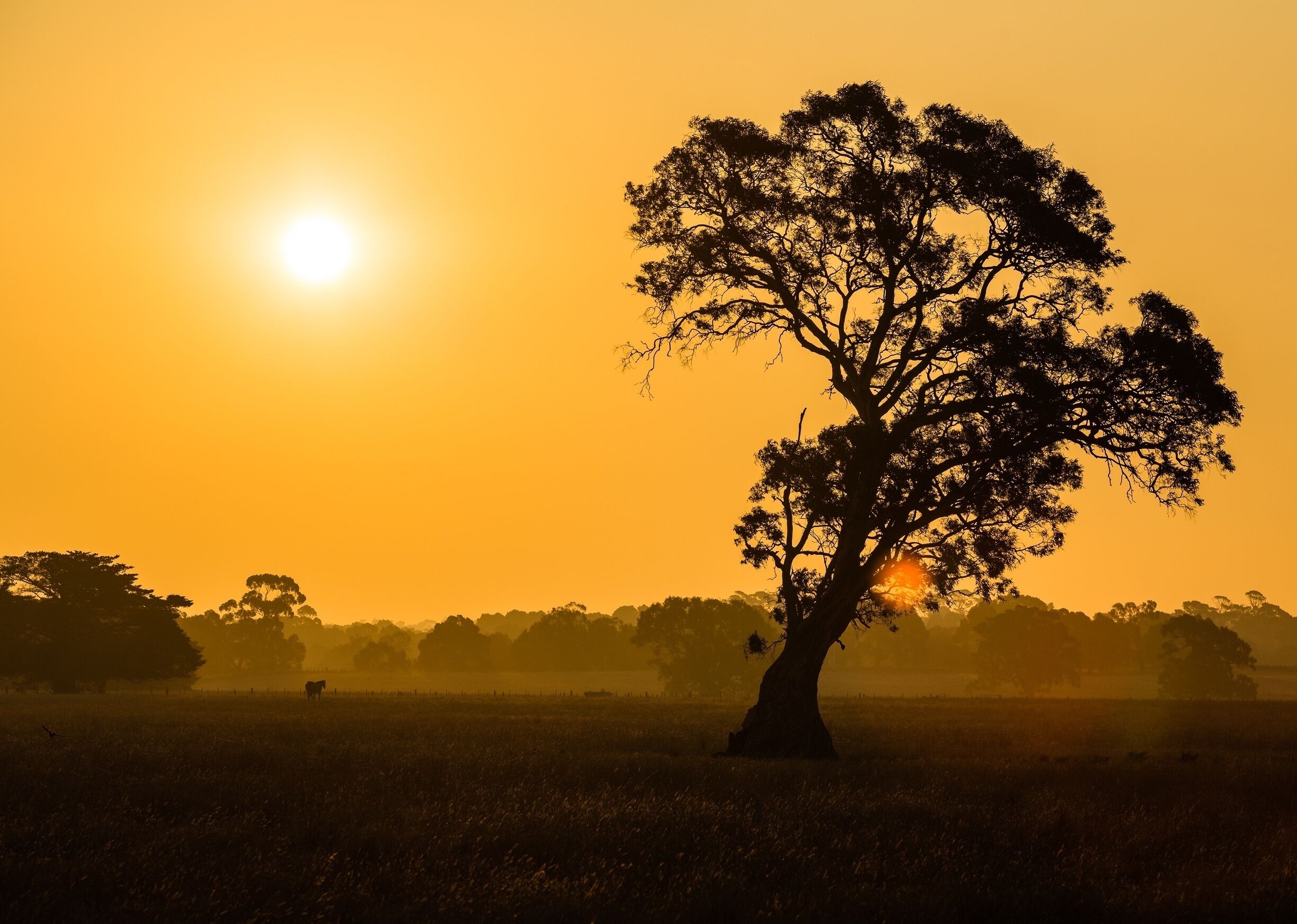 The south west side of town at sunset on a very humid evening. A haze developed giving the sky this beautiful colour.