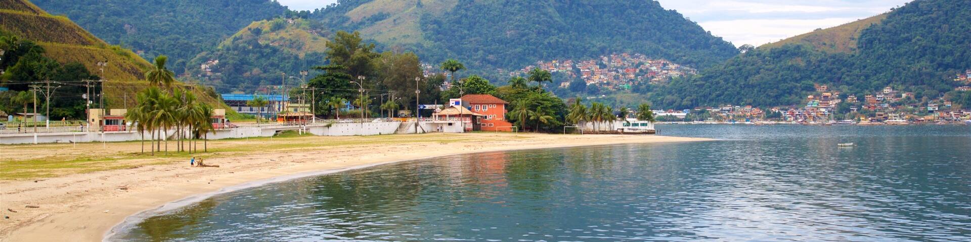 Anil Beach featuring a beach, wildflowers and general coastal views