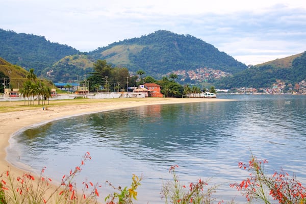 Plage Anil mettant en vedette fleurs sauvages, ville cĂŽtiĂšre et vues littorales