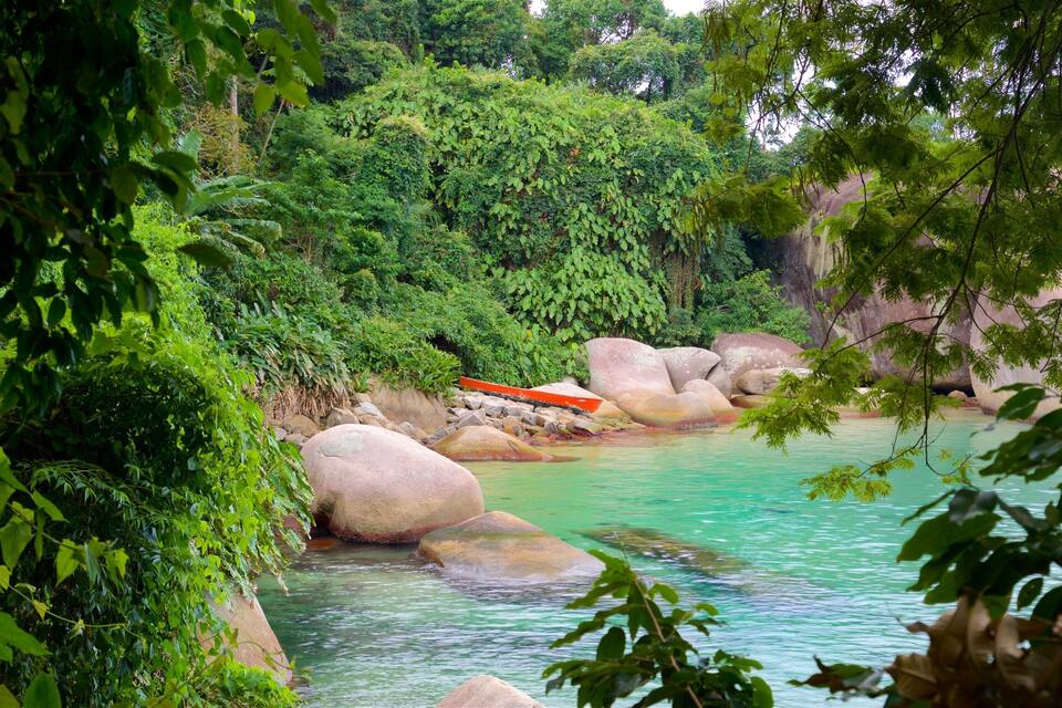A serene river with large rocks and lush greenery.