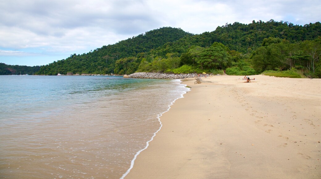 Laboratorio Beach showing a sandy beach and general coastal views