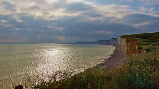 Wonderful view of the Seven Sisters white chalk cliffs stretching in a curve towards sunset. National Trust cafe and car park, plus secure metal caged staircase allowing safe child. and dog beach access . #perspective