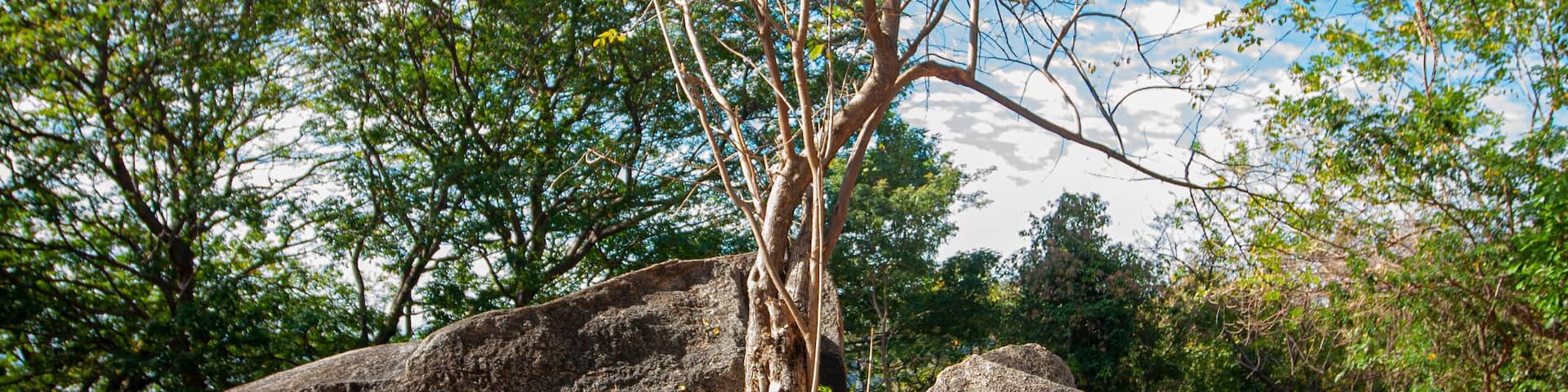 zona arqueológica de Palma Sola cuenta con petrograbados, Acapulco, Guerrero, México