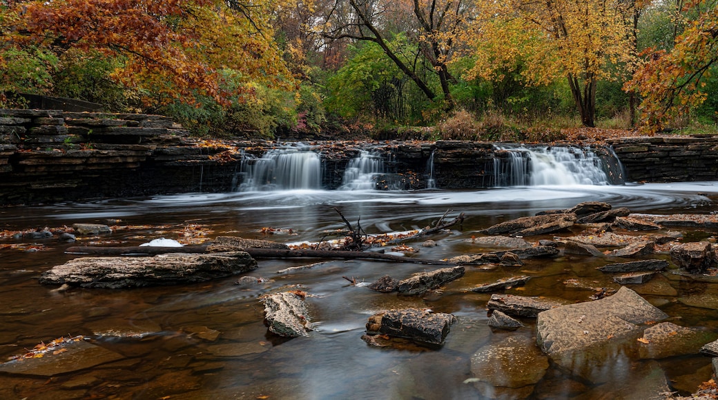 709-45 Sawmill Creek Autumn