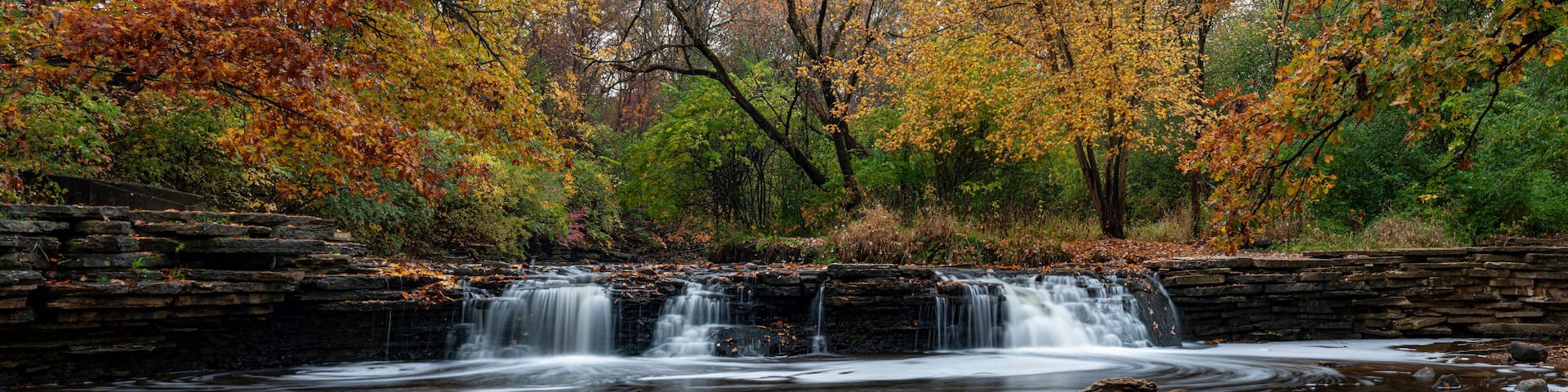 709-45 Sawmill Creek Autumn